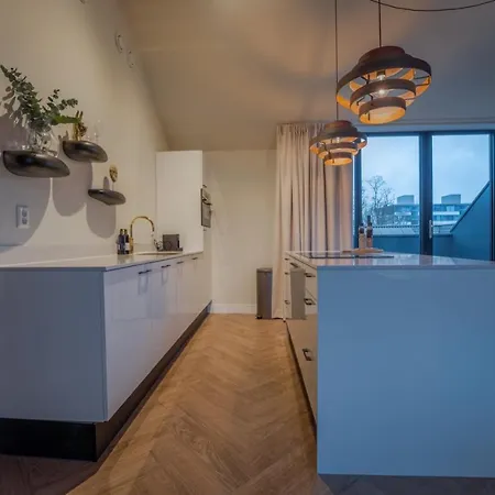 Juno Lofts Apartment