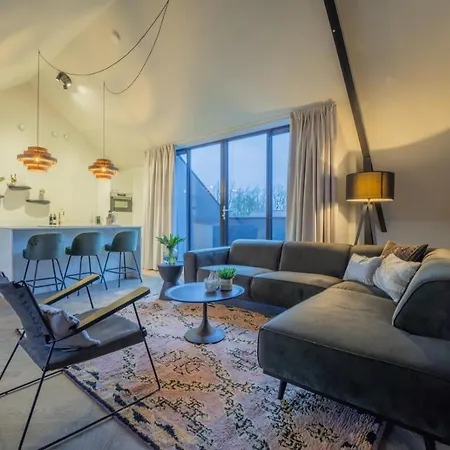 Juno Lofts Apartment